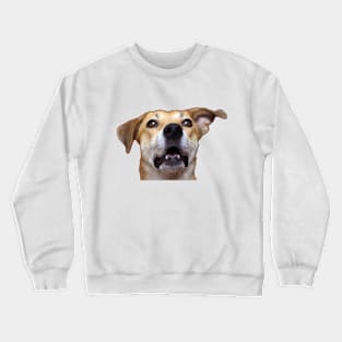 dog Crewneck Sweatshirt